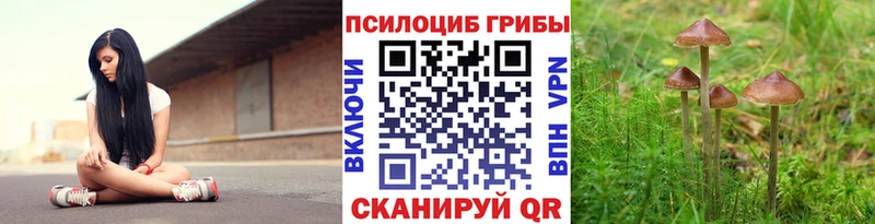 Купить закладки Качканар Псилоцибиновые грибы Psilocybe